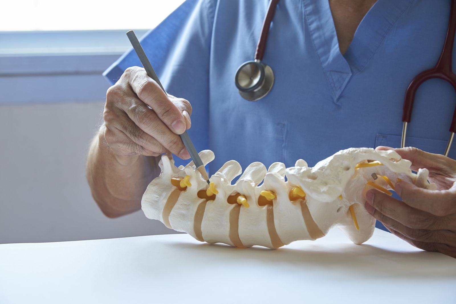 Chiropractor reviewing spine model - IT services for chiropractic practices