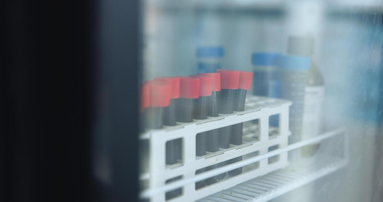 Managed healthcare IT services supporting cord blood banks