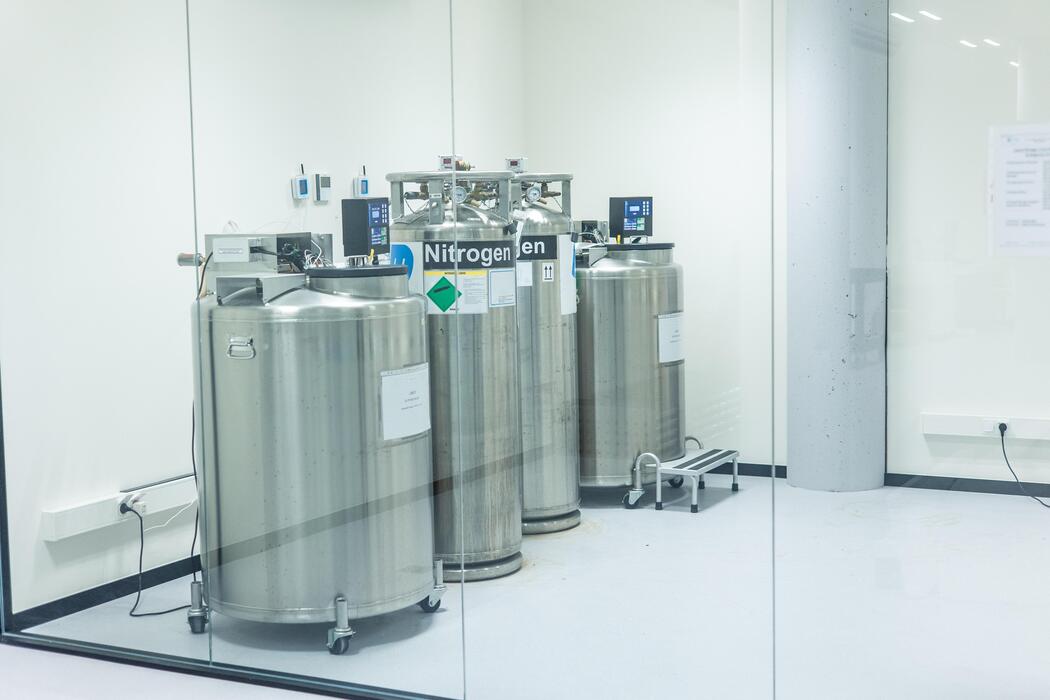 Cryogenic liquid nitrogen storage tanks in a cryobank laboratory